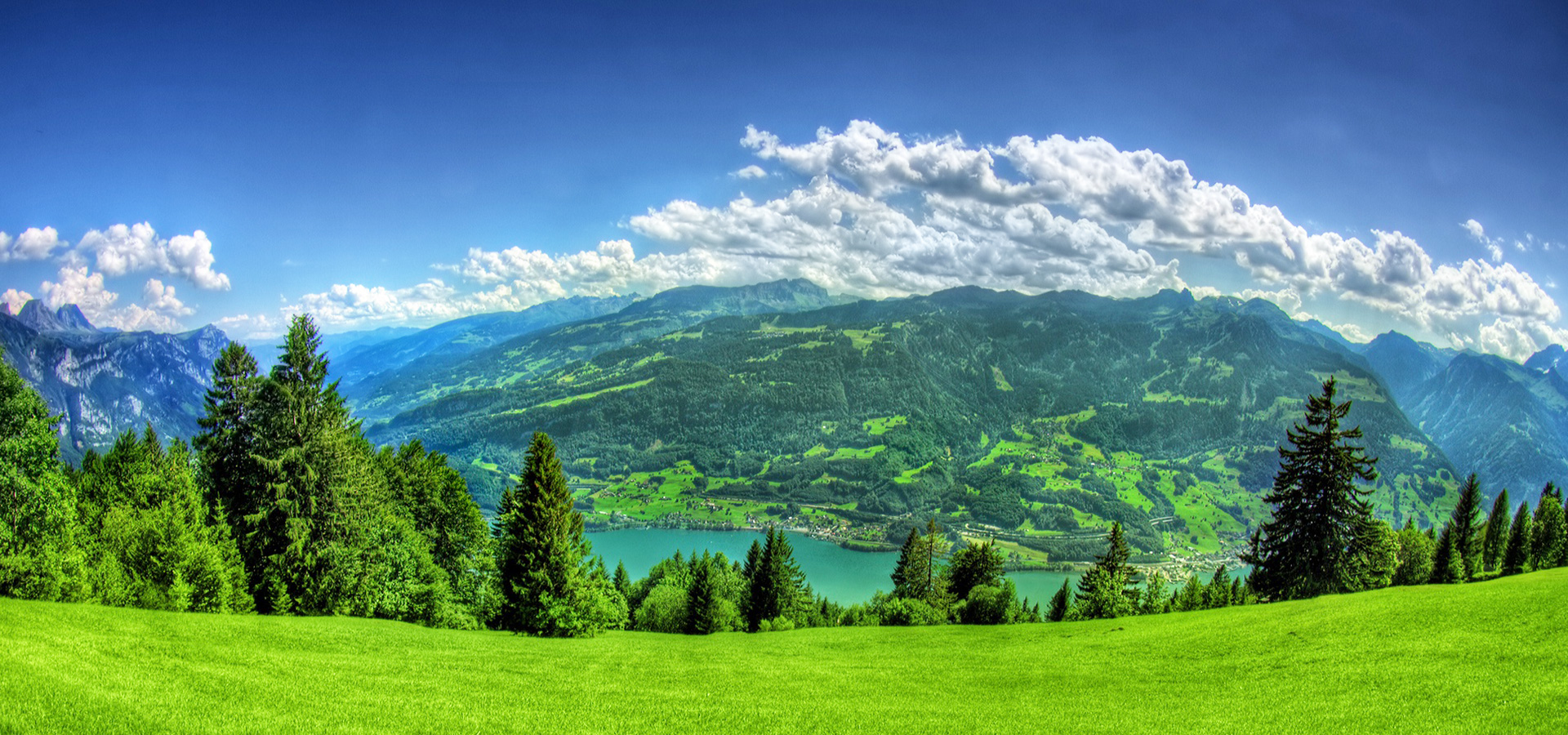 安徽鋒亞環(huán)境技術(shù)有限公司【官方網(wǎng)站】